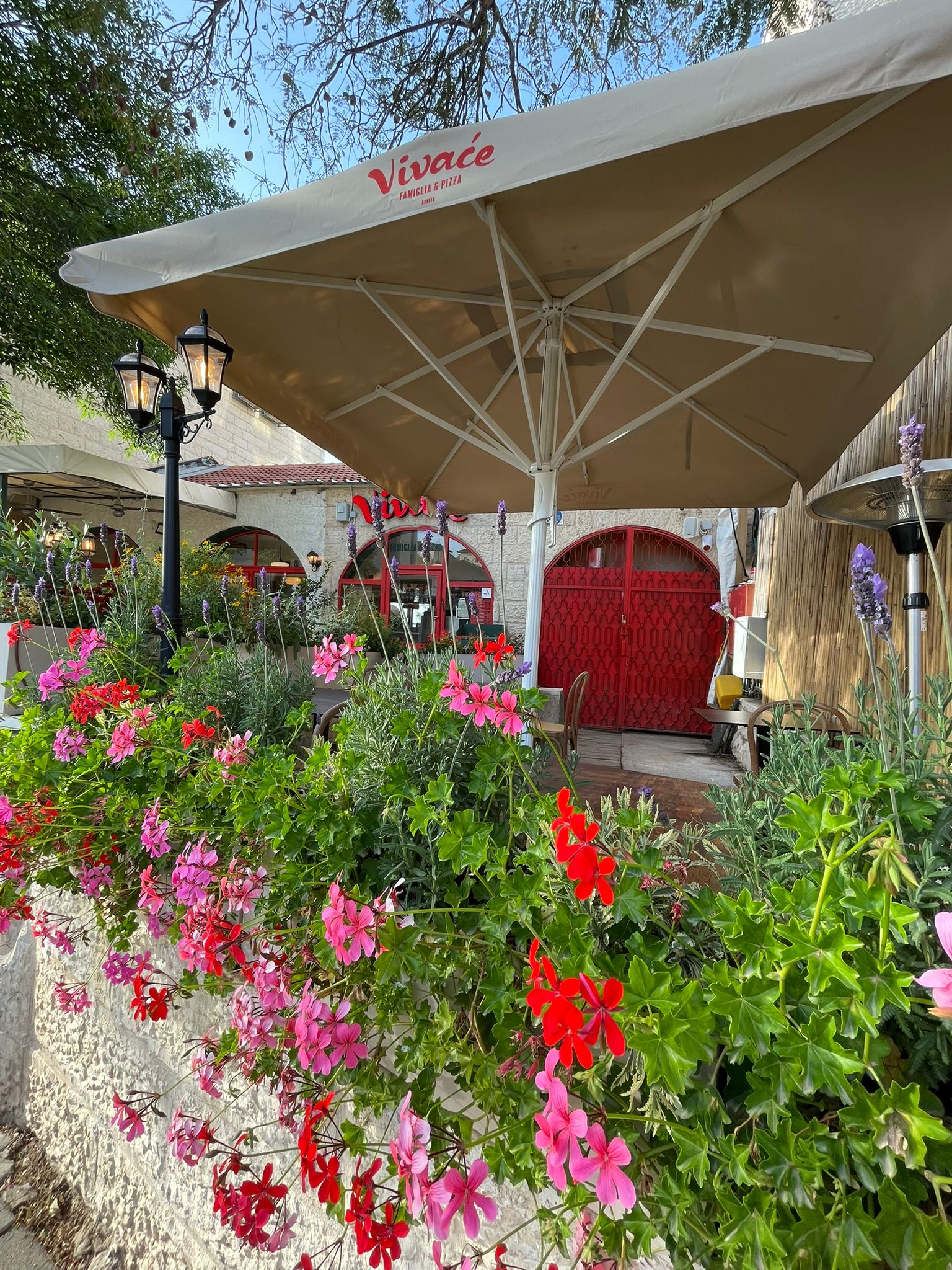 Vivace Beit Shemesh